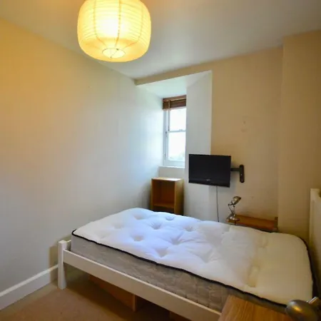 Lovely Garden Flat Near Gloucester Road Lejlighed